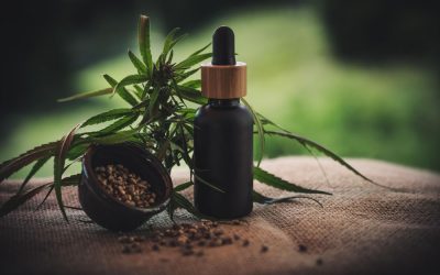 CBD Backlinky: Jak se orientovat v omezeném niche pomocí SEO