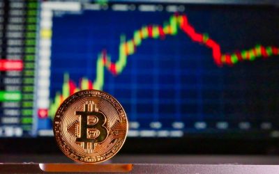 Crypto Link Building : SEO dans l’Industrie Blockchain en évolution rapide